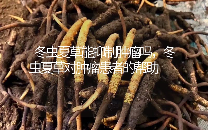 冬蟲(chóng)夏草能抑制腫瘤嗎？冬蟲(chóng)夏草對(duì)腫瘤患者的幫助