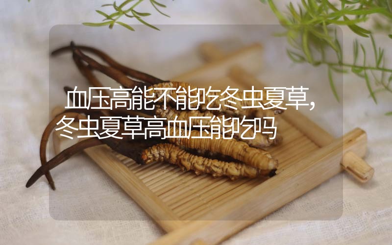 血壓高能不能吃冬蟲夏草，冬蟲夏草高血壓能吃嗎？
