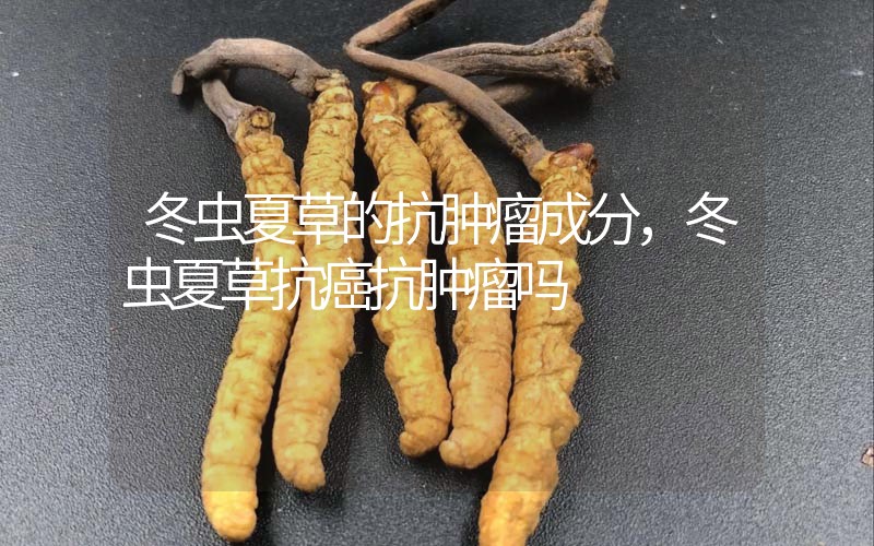 冬蟲(chóng)夏草的抗腫瘤成分，冬蟲(chóng)夏草抗癌抗腫瘤嗎？