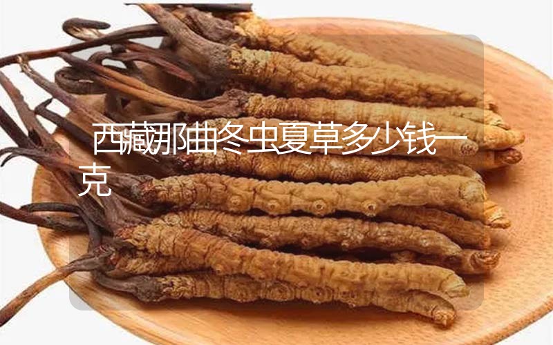 西藏那曲冬蟲夏草多少錢一克？