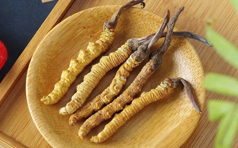 冬蟲夏草作用可以調節(jié)身體肝臟功能嗎？