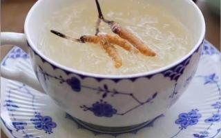 冬蟲夏草燉燕窩怎么做？