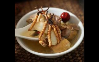 冬蟲(chóng)夏草的烹飪技巧與食用方法！