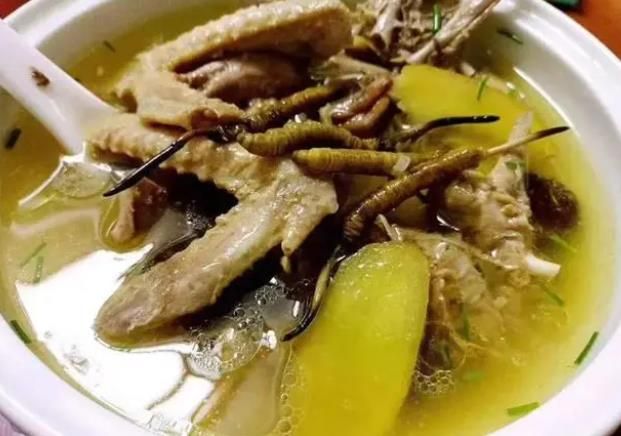 冬蟲夏草和哪些食材可以一起煲湯？