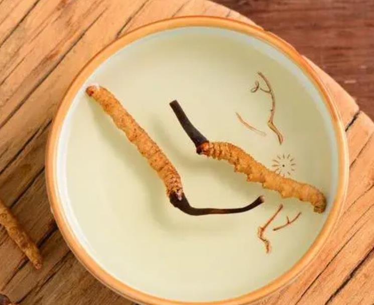 泡水吃冬蟲夏草營養(yǎng)會流失多少