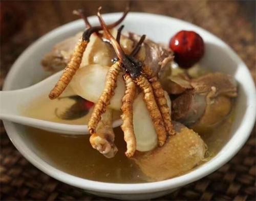 燉冬蟲(chóng)夏草可以加枸杞嗎？