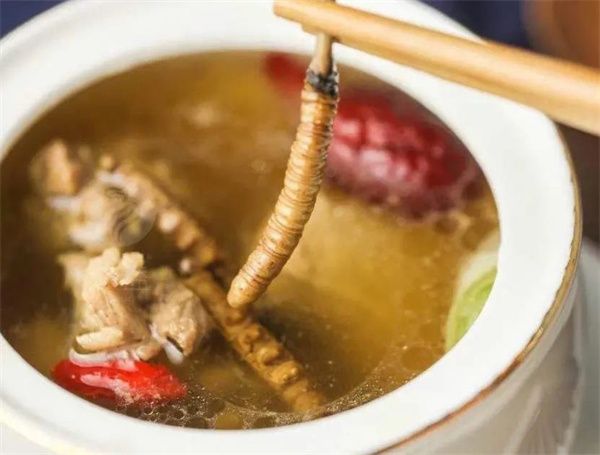 少女能吃冬蟲(chóng)夏草嗎？女人吃冬蟲(chóng)夏草的好處