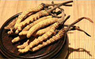 未來冬蟲夏草會漲價嗎？