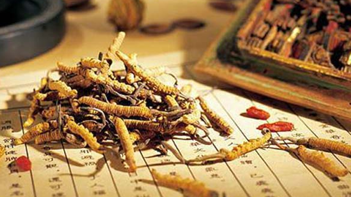 同仁堂健康冬蟲夏草：傳承品質(zhì)，饋贈(zèng)健康