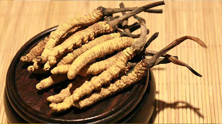 探秘西藏冬蟲(chóng)夏草最大產(chǎn)地 —— 那曲