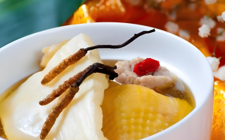 冬蟲夏草每天什么時(shí)候吃最好？一文詳解最佳食用時(shí)間
