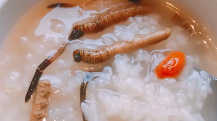 冬蟲夏草適合哪些人群？精準匹配與禁忌提醒