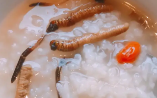 冬蟲夏草適合哪些人群？精準匹配與禁忌提醒