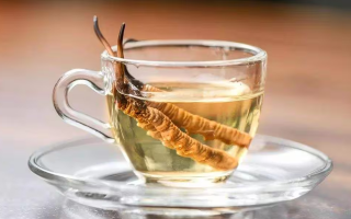 一瓶酒泡多少冬蟲夏草？科學搭配有講究