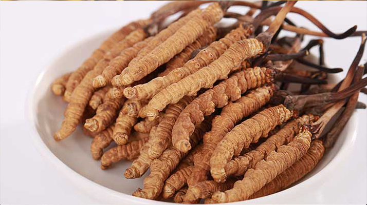 冬蟲夏草一公斤多少錢？多因素交織下的價(jià)格密碼