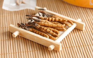 這些藥材形似冬蟲夏草，辨別要點需牢記