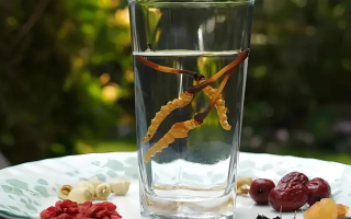 冬蟲夏草能空腹泡水喝嗎？不同人群需區(qū)別對(duì)待