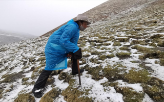 西藏挖冬蟲(chóng)夏草在什么時(shí)候？產(chǎn)區(qū)與時(shí)間全攻略