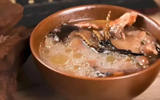 冬蟲夏草治什么病效果好？厘清輔助調(diào)理邊界與適用場景