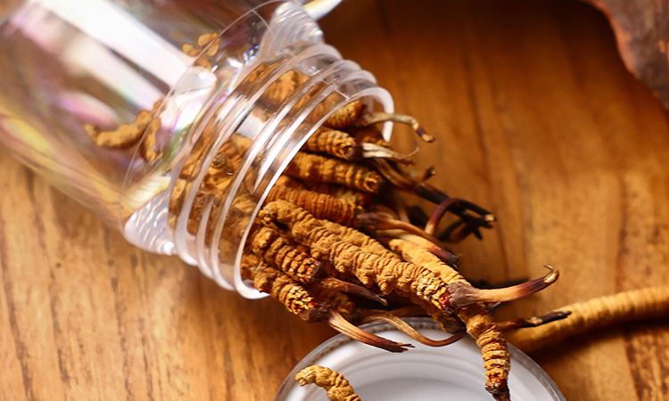 <a href=http://www.the-space-invaders-movie.com/jiage/ target=_blank class=infotextkey>冬蟲夏草多少錢</a>一條 