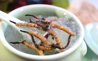 十根冬蟲夏草能泡幾斤酒？泡酒比例與細(xì)節(jié)指南