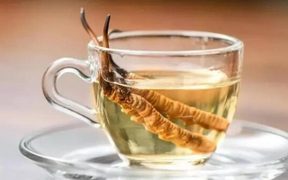 燉冬蟲夏草用什么水好？選對水才能最大化滋補(bǔ)價值