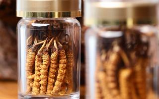 送冬蟲夏草給男孩子好嗎？分場(chǎng)景分析 + 送禮建議