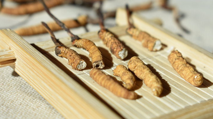 斷的<a href=http://www.the-space-invaders-movie.com/ target=_blank class=infotextkey>冬蟲夏草</a>一克啥價 