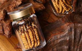 冬蟲夏草養(yǎng)生指南：分清滋補(bǔ)功效，避開養(yǎng)生誤區(qū)