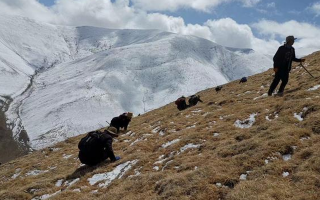 個(gè)人采集證 + 企業(yè)收購許可的申請材料清單與辦理時(shí)間表