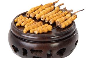 冬蟲夏草的頭期斷草好嗎？有沒有營養(yǎng)價(jià)值？