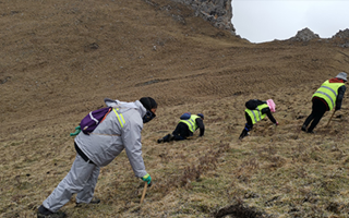非法采挖蟲草的常見誤區(qū)、合規(guī)清單、采集證辦理流程與價(jià)值鑒定要點(diǎn)