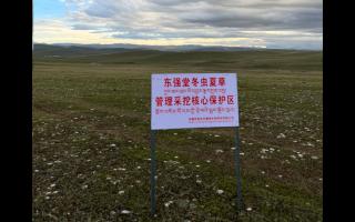 高原之上，蟲草共生；守護(hù)生態(tài)，東強(qiáng)堂與你同行