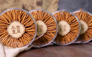 冬蟲夏草價格暴跌真相：藏農(nóng)神草告訴你，正宗那曲蟲草為何“價穩(wěn)質(zhì)優(yōu)”