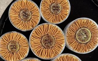 正宗那曲冬蟲(chóng)夏草其實(shí)很便宜，打破高價(jià)迷局，回歸價(jià)值本質(zhì)