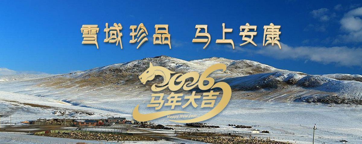 雪域高原藏珍品，2026愿您馬上安康——來自西藏那曲蟲草網(wǎng)的新春祝福