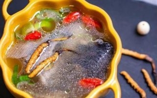 那曲冬蟲夏草辨別全指南｜教你避開市場陷阱，認準正宗珍品